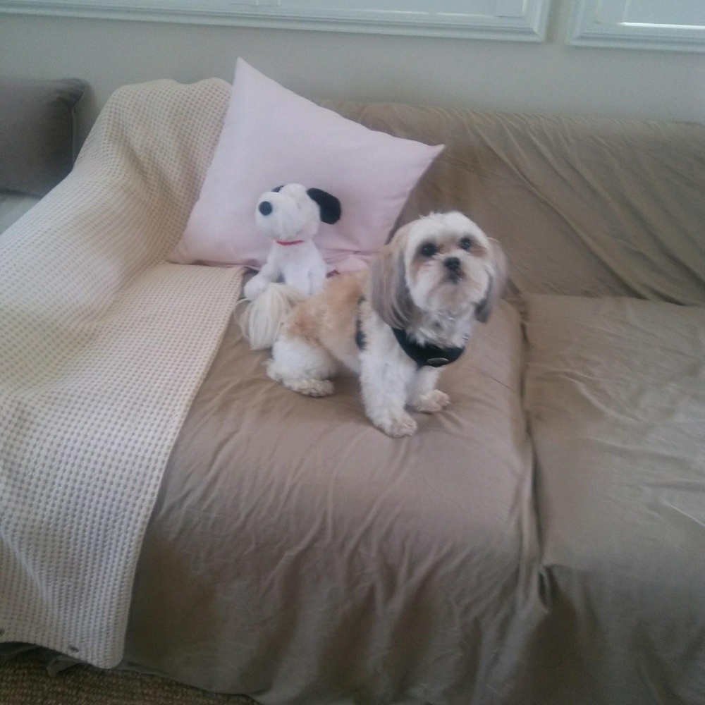 Meet your Posher, Darlene